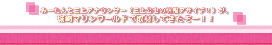 みーたんと三上アナウンサー(三上公也の情報アサイチ!)が、城崎マリンワールドで取材してきたぞー!!