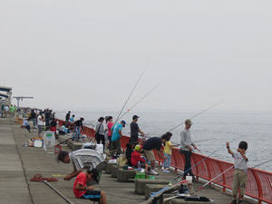 ラジオ関西杯ファミリーサビキ釣り大会開催 果たして釣果は ラジトピ ラジオ関西トピックス