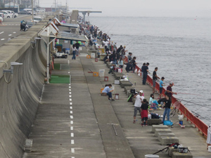 予想をはるかに超える参加者が来場（写真：須磨・平磯海づり公園スタッフ）