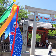西宮神社　５月５日に「えべっさんこどもまつり」を開催