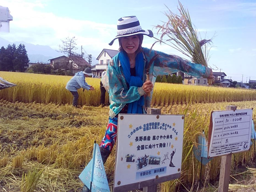 「風さやか米」を収穫する風さやかさん（写真：ラジオ関西『風さやか　愛と夢♡永遠のタカラジェンヌ』）