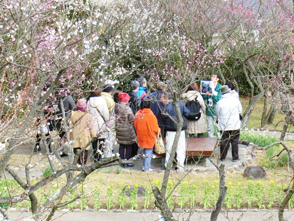 須磨離宮公園