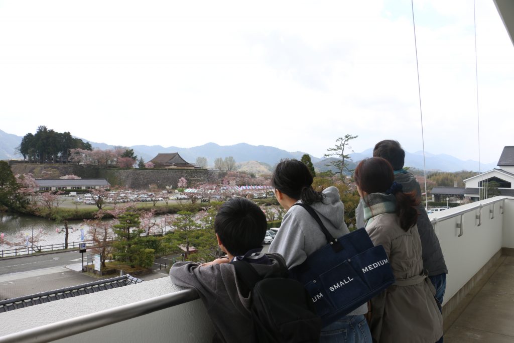 丹波篠山市役所の市長室のベランダから、篠山城の桜を見る