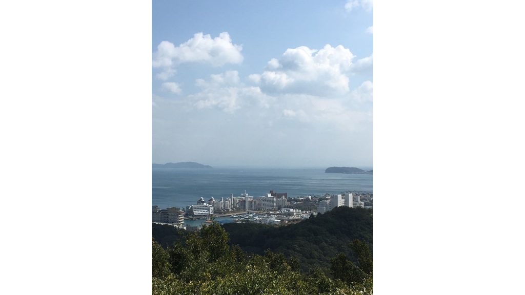 海峡の先端が和歌山県の友が島、右側が由良