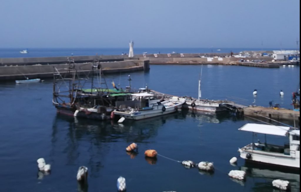 明石浦漁港では初日(2月29日)の水揚げが450キロ
