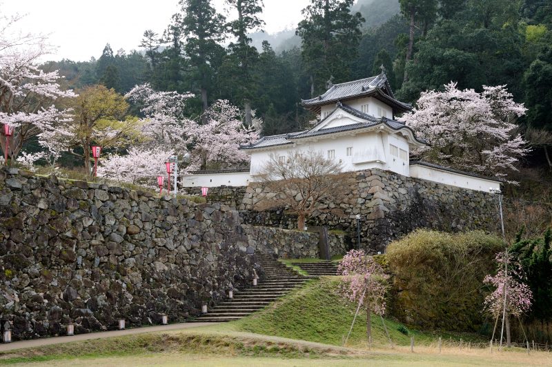 連載 兵庫五国 お城と桜の旅 5 出石城 ラジトピ ラジオ関西トピックス