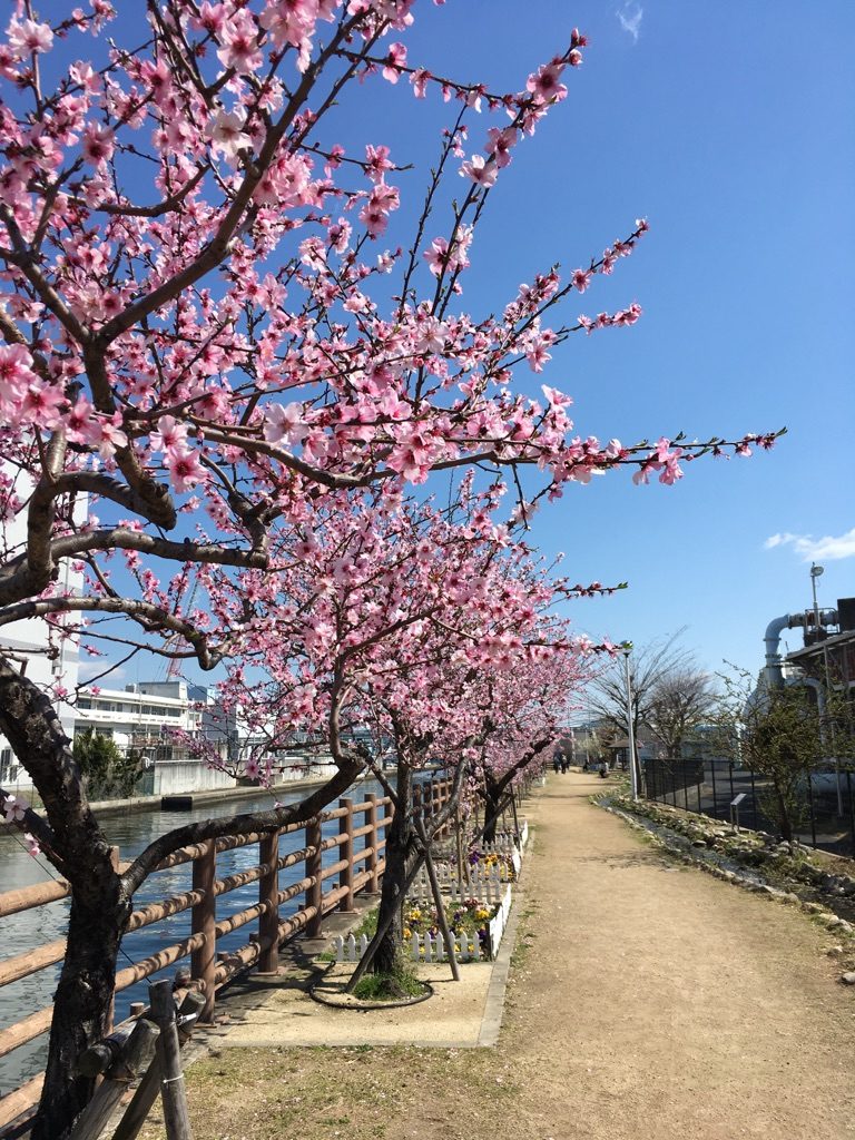 神戸市東灘区の神戸市建設局・東水環境センターの遊歩道