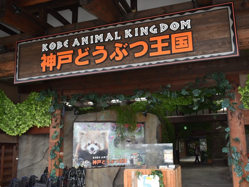 超美品 神戸どうぶつ王国 入園チケット