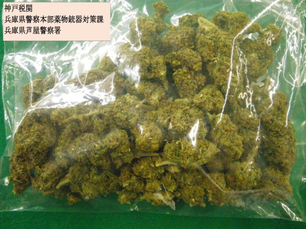 乾燥大麻66.86グラムは吸引100回分以上に当たる（画像提供・神戸税関）