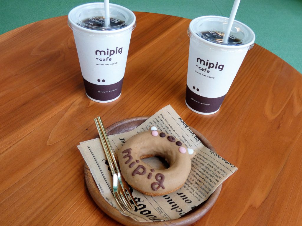 mipig cafe