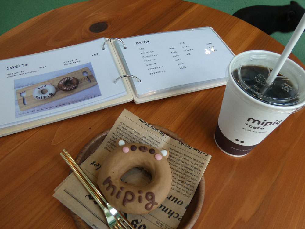 mipig cafe