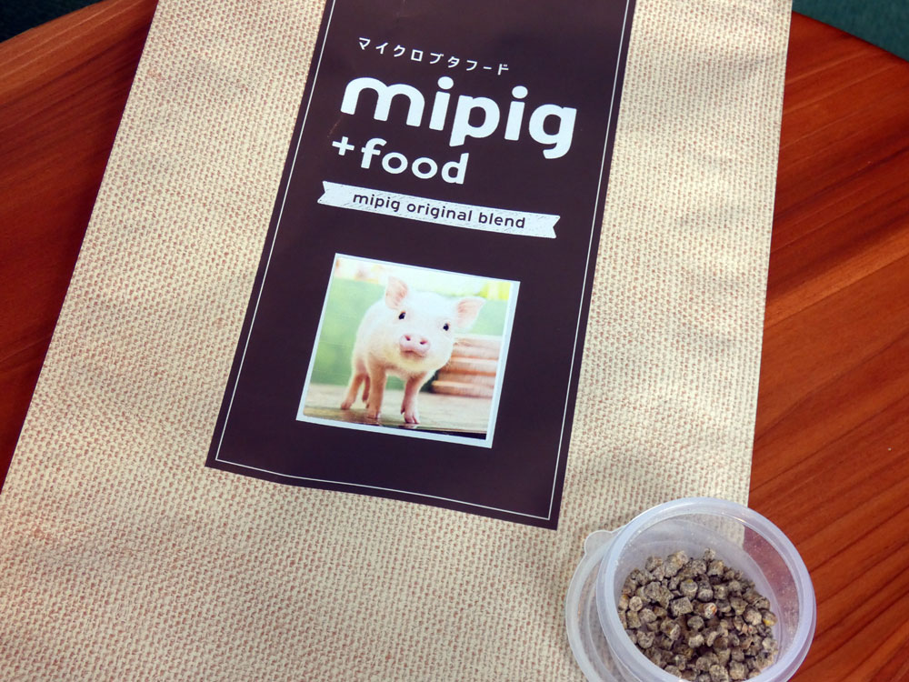 mipig cafe