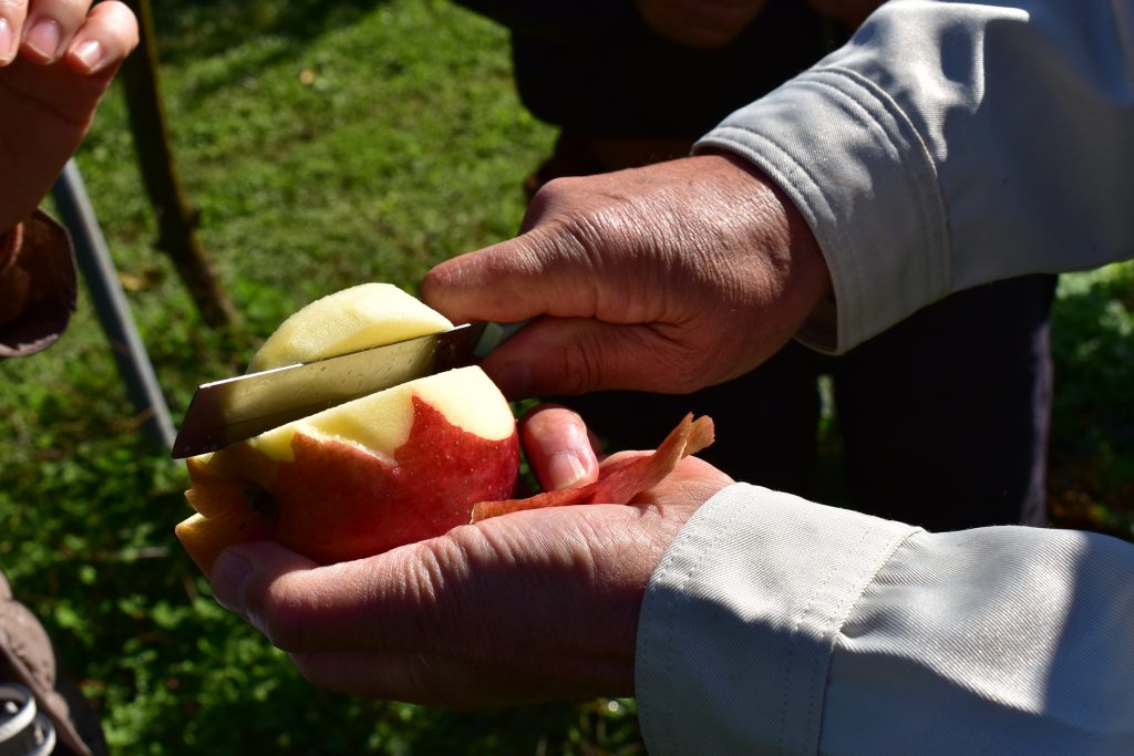 他のリンゴがもはや 水 秋の信州で糖度19 のリンゴを味わおう 信州 安曇野 ラジトピ ラジオ関西トピックス