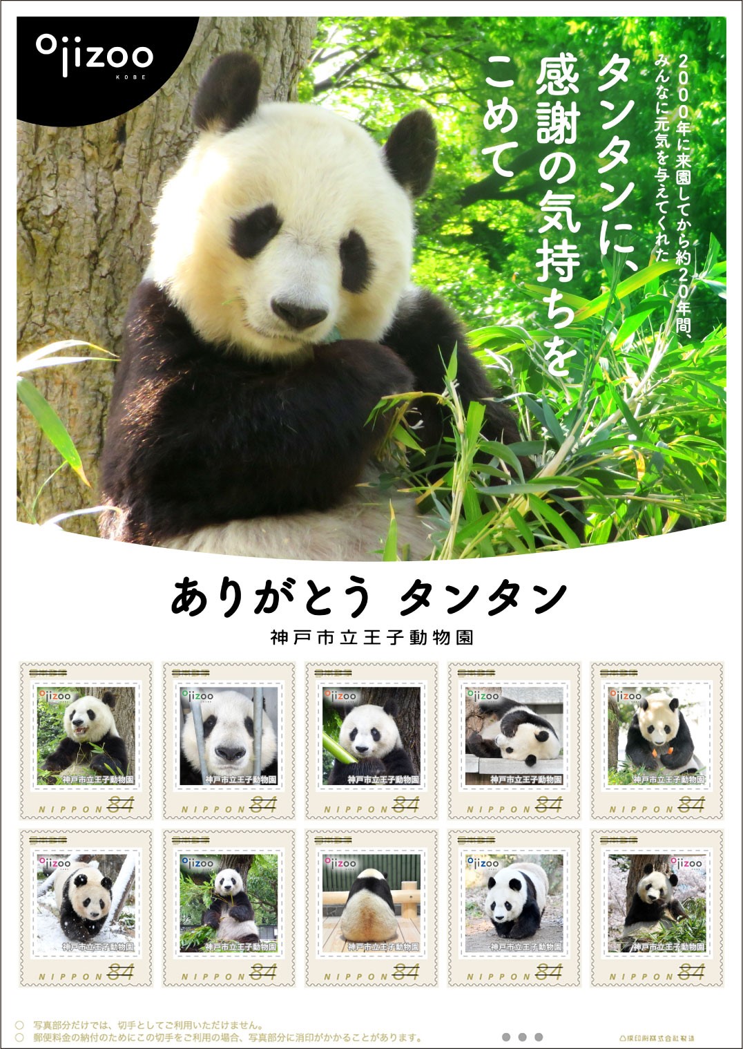 神戸・王子動物園のジャイアントパンダ「タンタン」が切手に 
