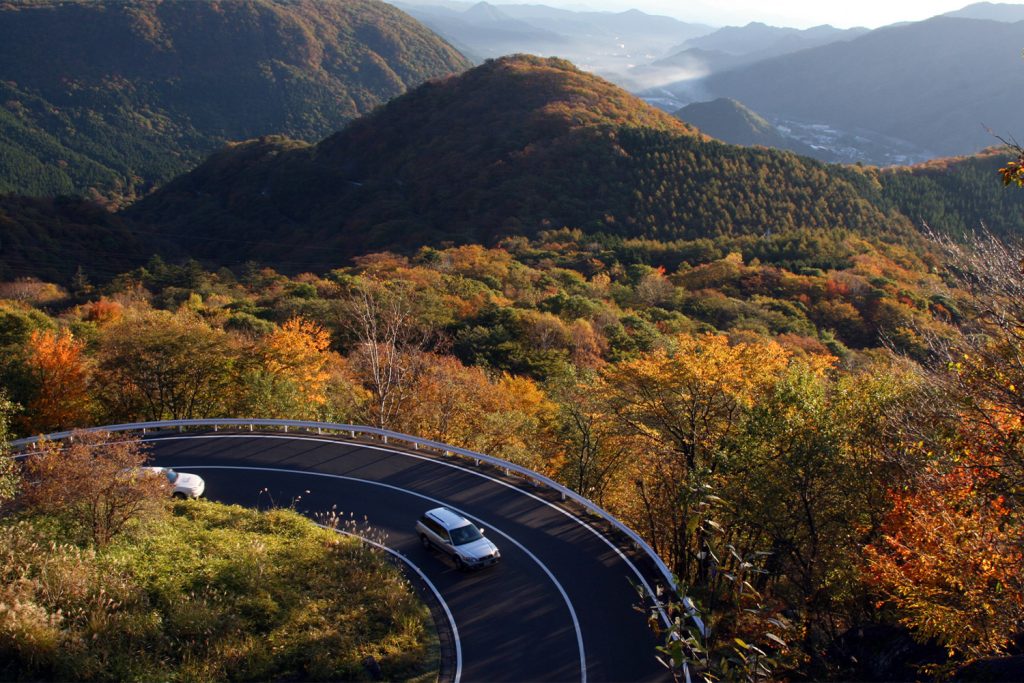 いろは坂の紅葉（写真提供：栃木県観光物産協会）