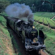 茶畑を走る大井川鐵道SL （写真提供：静岡県観光協会）
