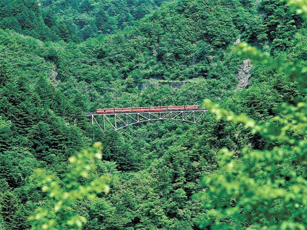 新緑の関の沢鉄橋（写真提供：静岡県観光協会）