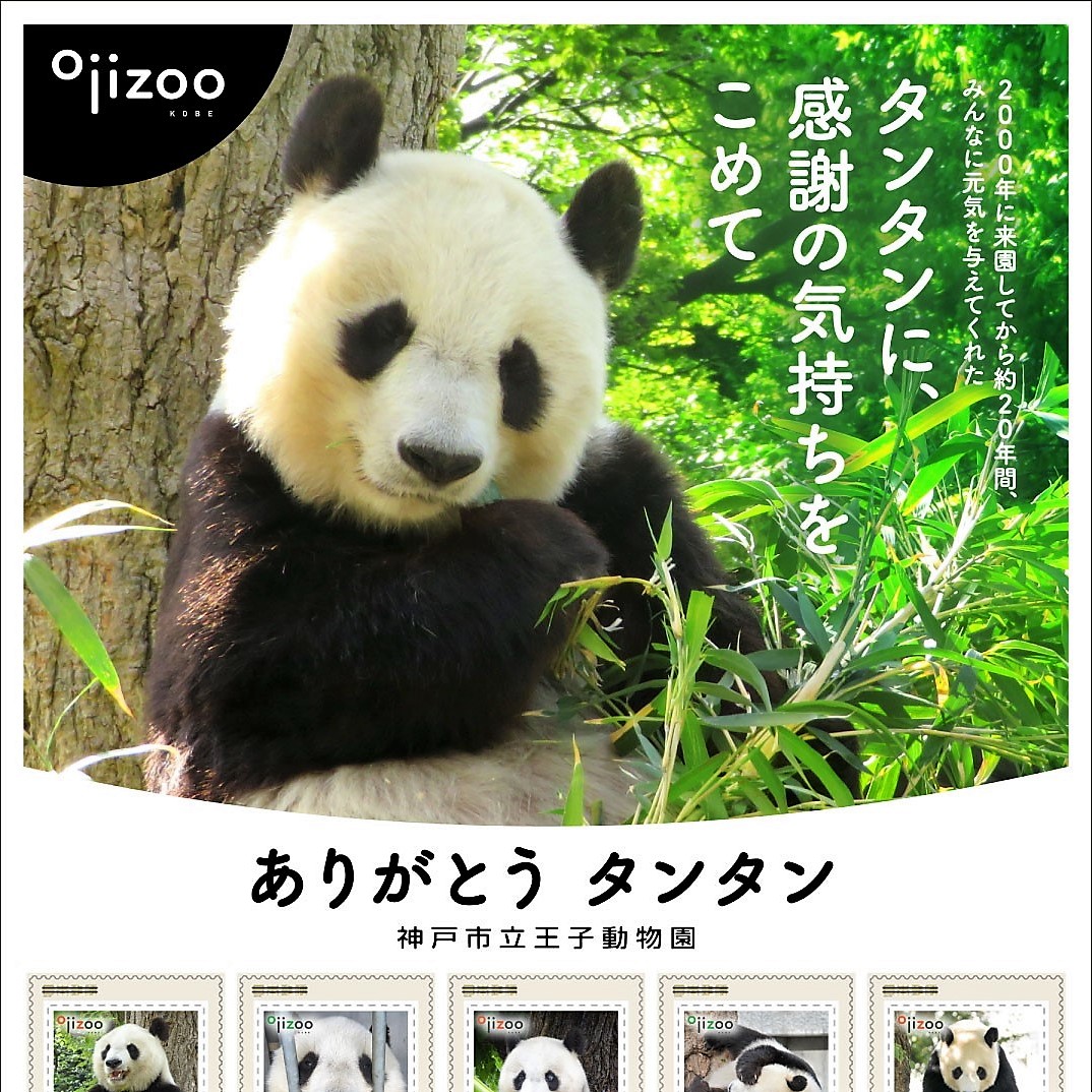 タンタン 切手 増刷販売12月17日から まだまだ大人気 神戸 王子動物園のジャイアントパンダ ラジトピ ラジオ関西トピックス
