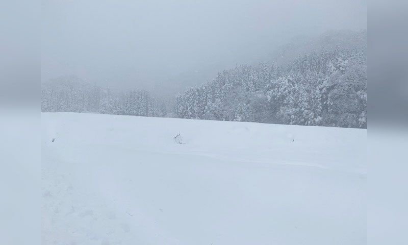 この時期としては、近年珍しいほどの大雪が降っている神鍋高原