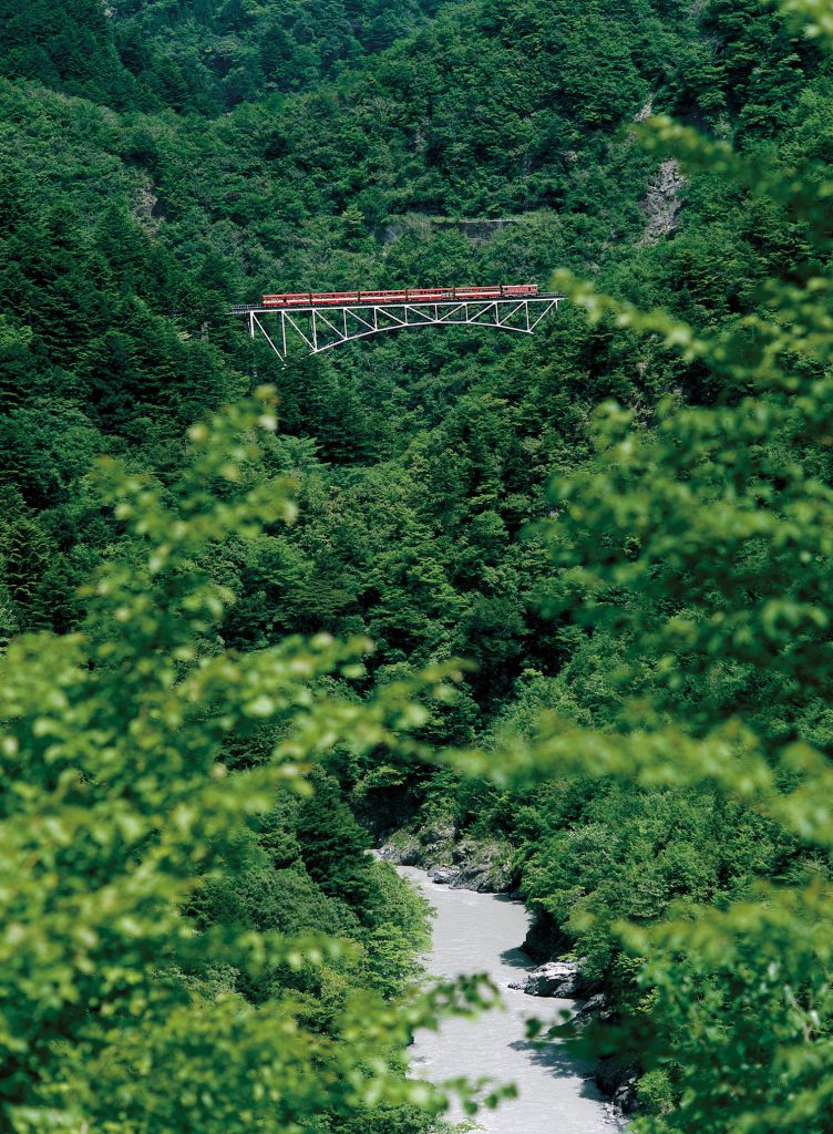 新緑の関の沢鉄橋（写真提供：静岡県観光協会）