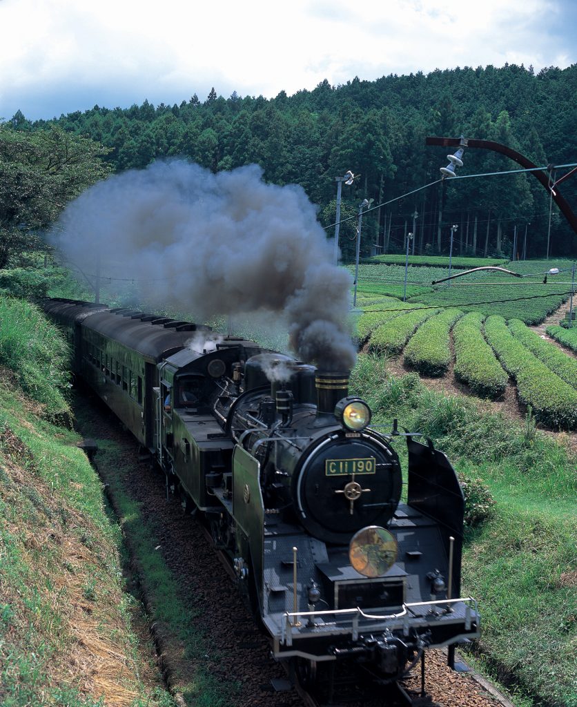 茶畑を走る大井川鐵道SL （写真提供：静岡県観光協会）