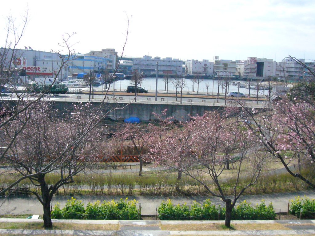 西郷川河口公園