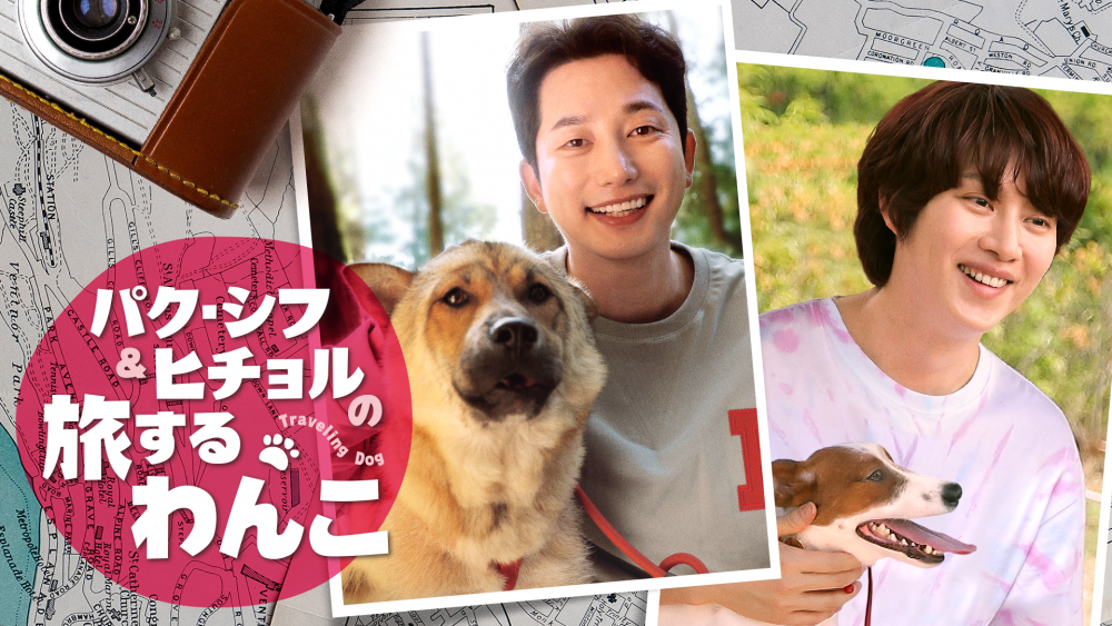 パク・シフ&ヒチョル（SUPERJUNIOR）出演『パク・シフ＆ヒチョルの旅