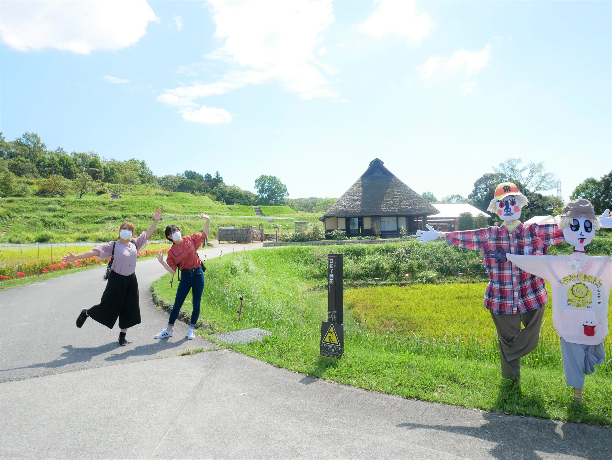 芋掘りやレンコン掘りも 秋真っ盛りの神戸 あいな里山公園で里山体験 ラジトピ ラジオ関西トピックス