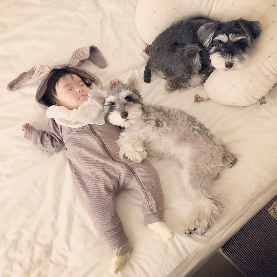 かのくんと奥さんとベビーと犬2匹に届け 娘のベビーシッターは愛犬2匹」 犬と子どもの成長記録が話題 「深夜の