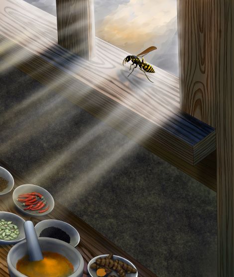 「蜂カレー」由来は朝日とともに蔵に現れた1匹の蜂