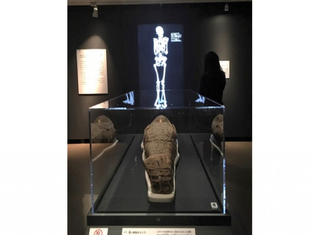 最新の技術で解き明かす6人のミイラの物語 大英博物館ミイラ展 神戸市立博物館 ラジトピ ラジオ関西トピックス