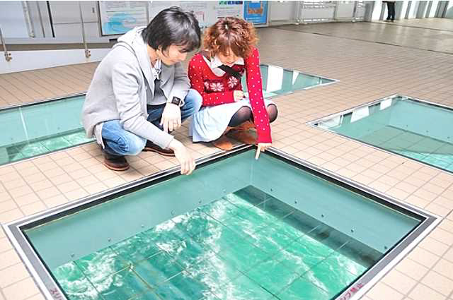 写真「渦の道（写真提供：徳島県大阪事務所）」