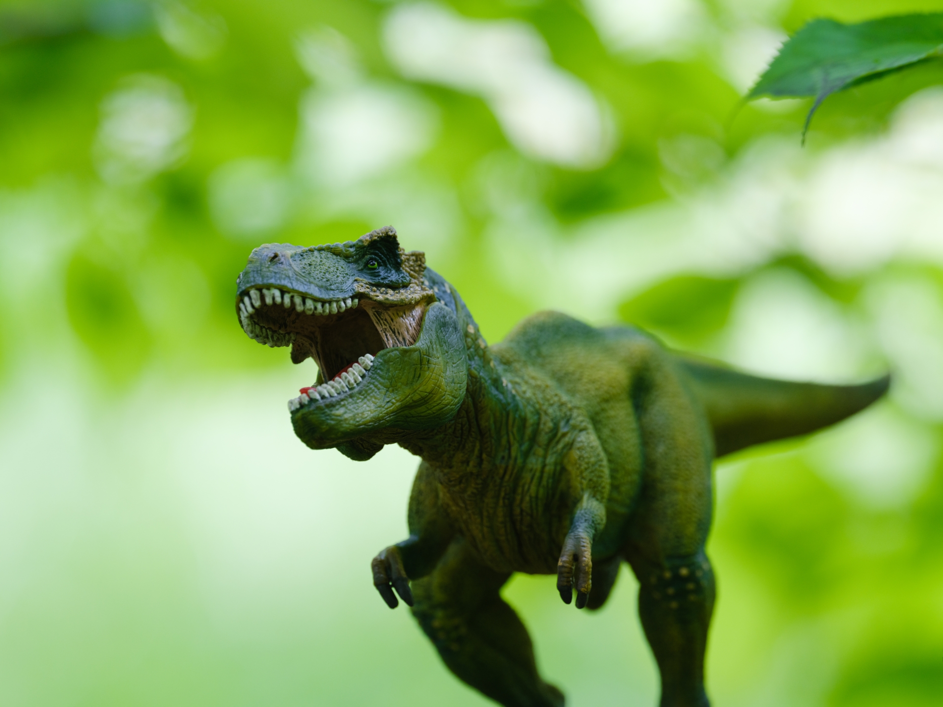 恐竜』は絶滅していない!? “スズメとティラノサウルス”の意外な関係 