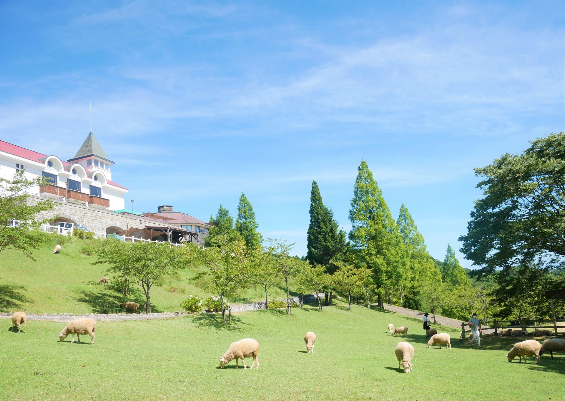 神戸 市立 六甲山 牧場