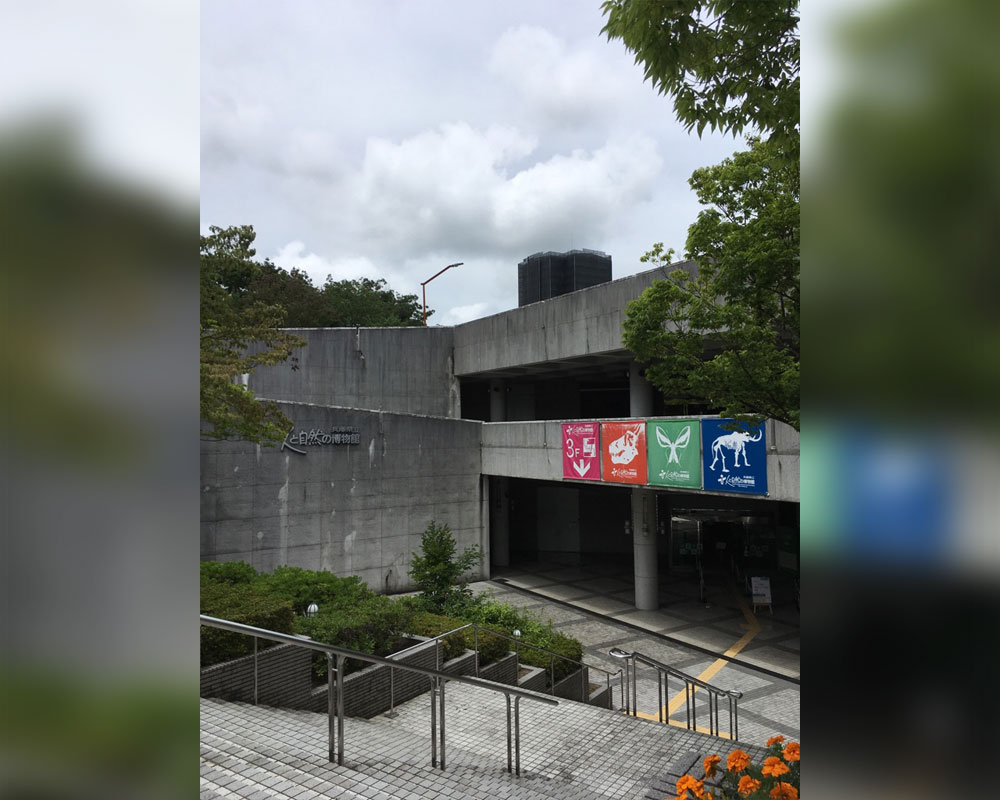 「ひとはく」の愛称で親しまれている「兵庫県立　人と自然の博物館」