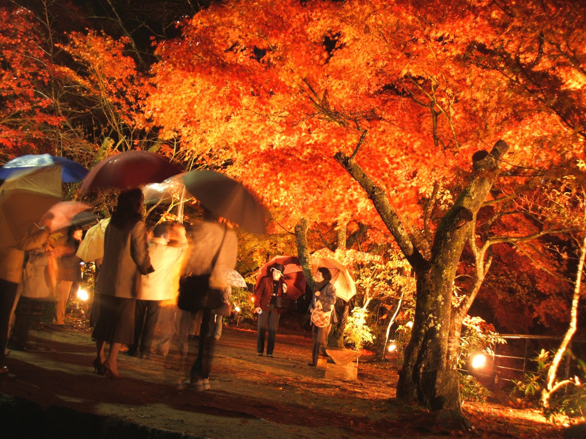 岡山県鏡野町】紅葉、温泉、グルメ！ 秋の奥津エリアへ“ちょい旅