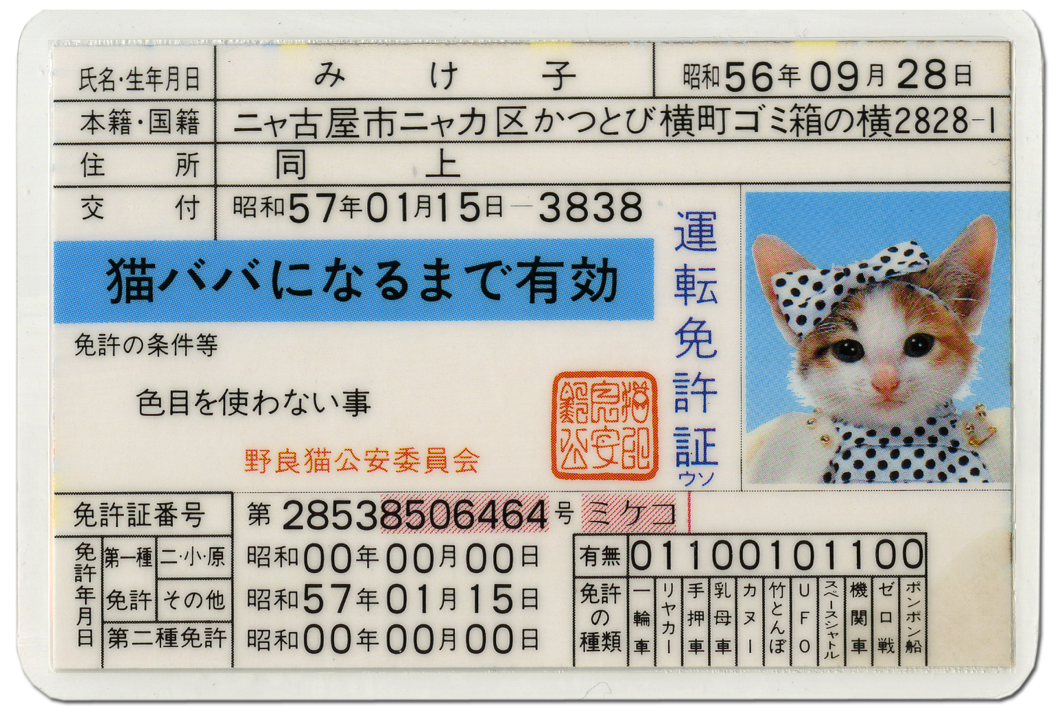 経済効果は1千億円！ 猫ブームの火付け役『なめ猫』 令和は交通系IC 