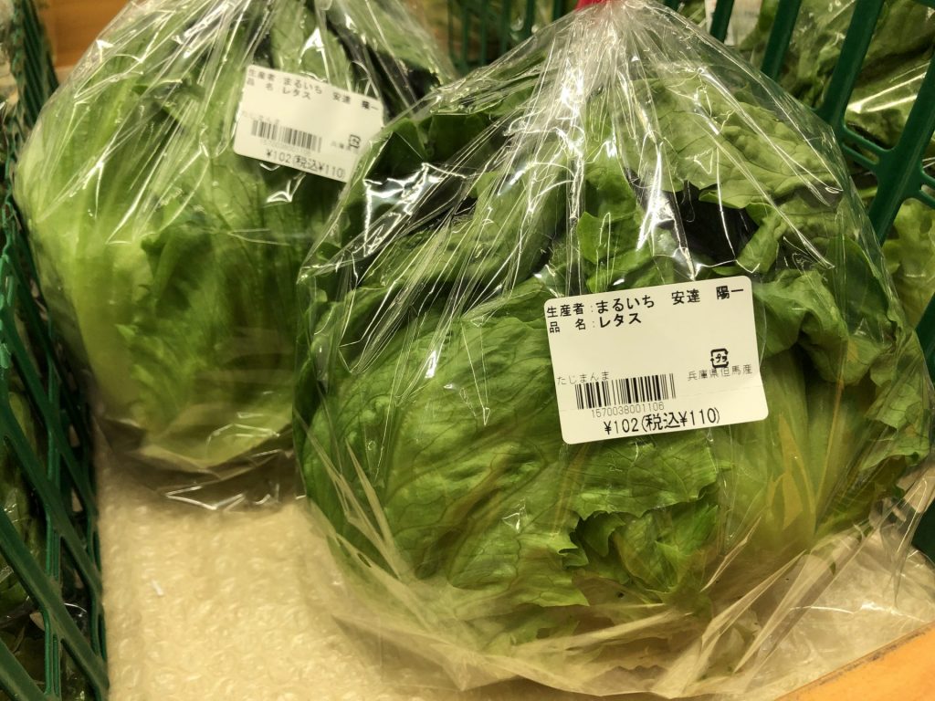 大きくてみずみずしい「レタス」　生産者自ら野菜を店頭に並べる