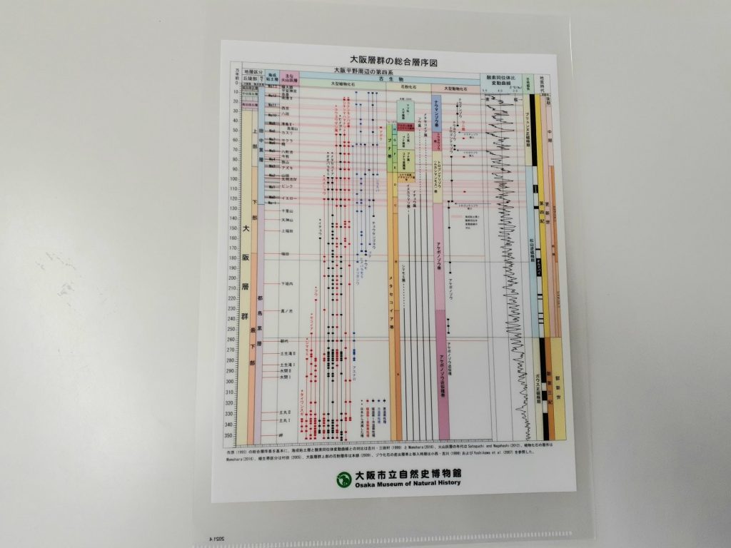 「大阪層群の総合層序図」（館内ミュージアムショップで販売しているクリアファイル）