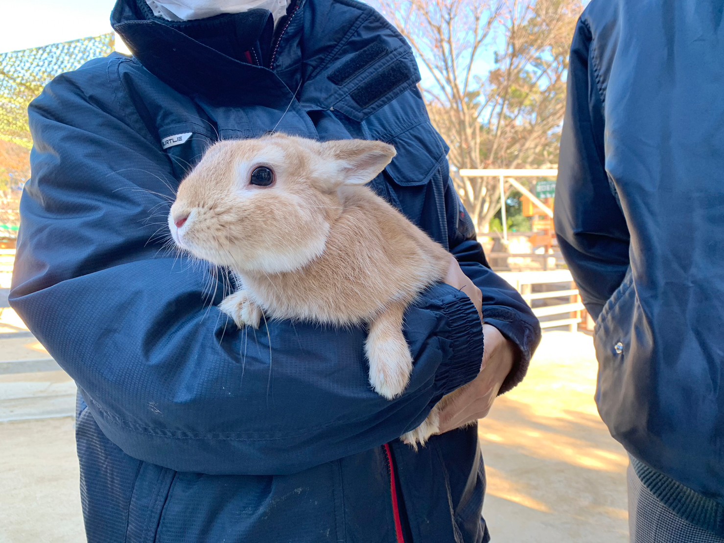 今年はうさぎ年！動物たちも元気に新年迎える 神戸市立王子動物園