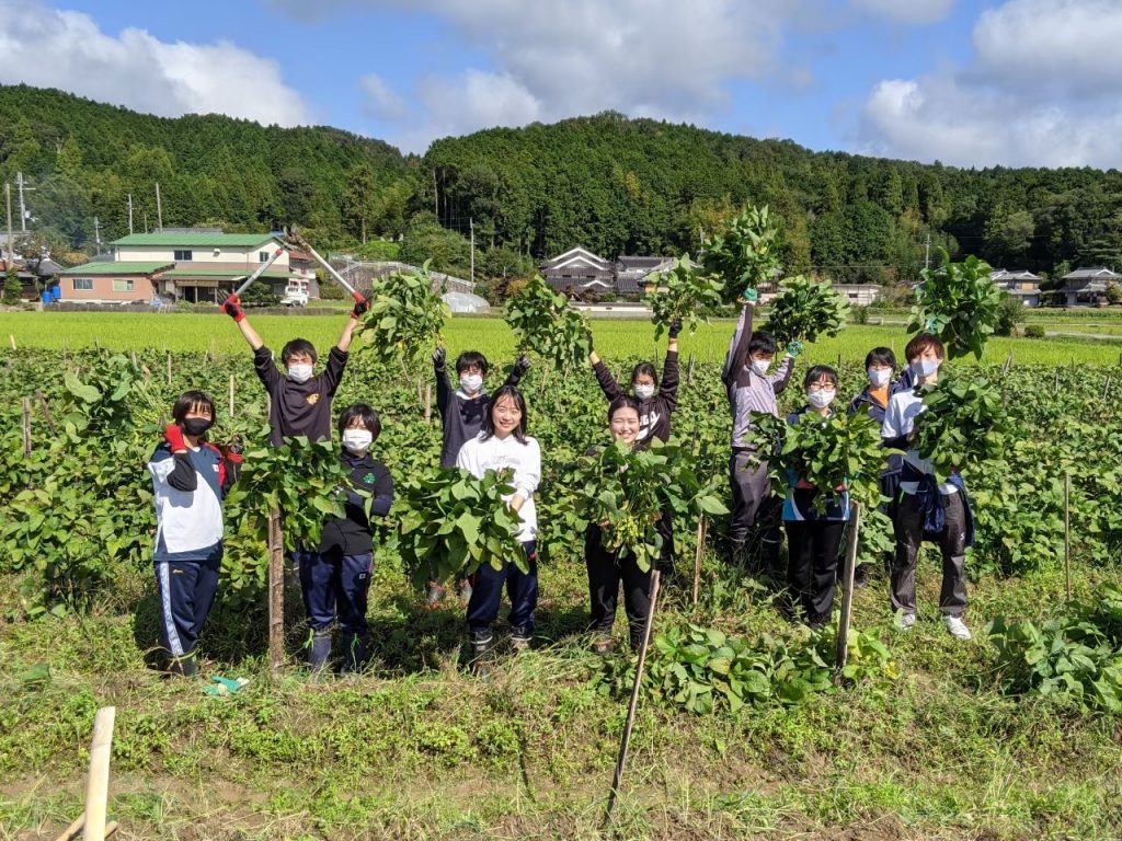 「にし恋Farm」　黒枝豆の収穫から販売までを行う（2020年撮影、提供：神戸大学）