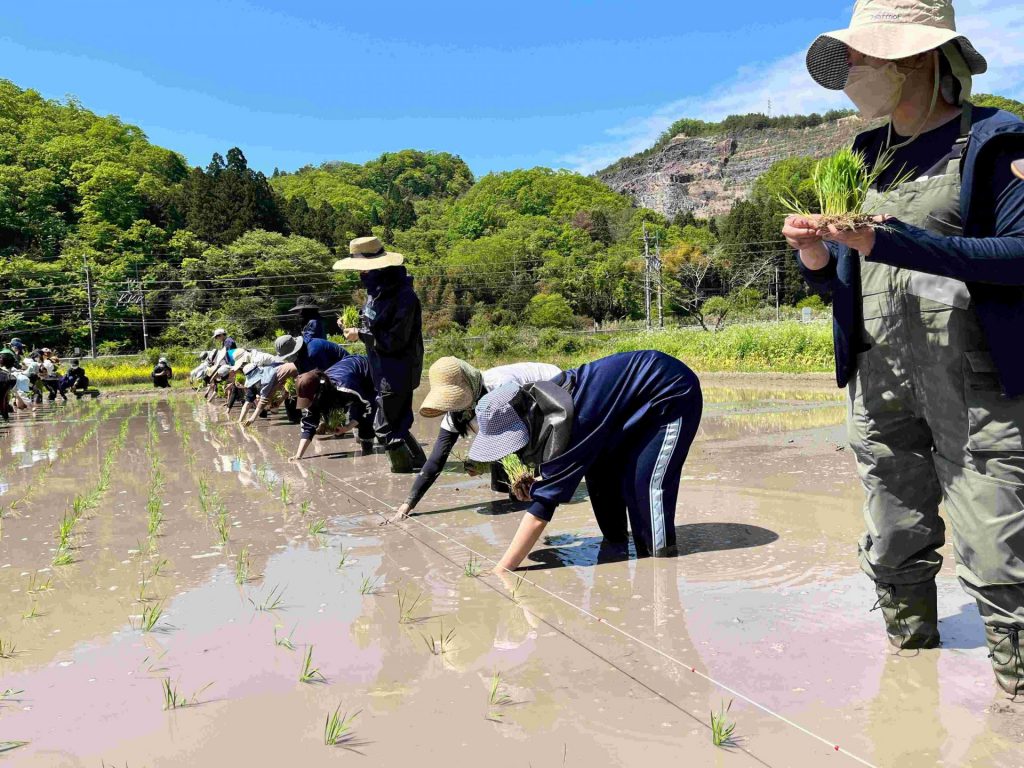 「実践農学入門」での田植えの様子/2022年5月（提供：神戸大学）
