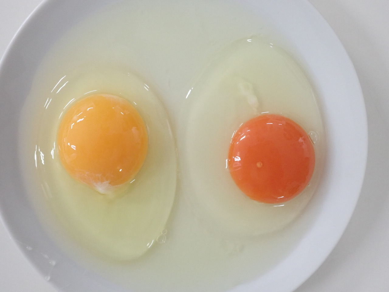 注意すべき初期の皮膚がんの兆候はありますか?