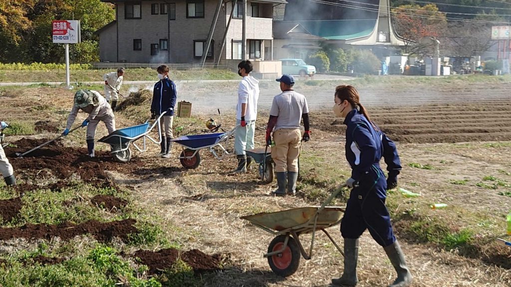 肥料まき作業/2022年11月（提供：神戸大学）