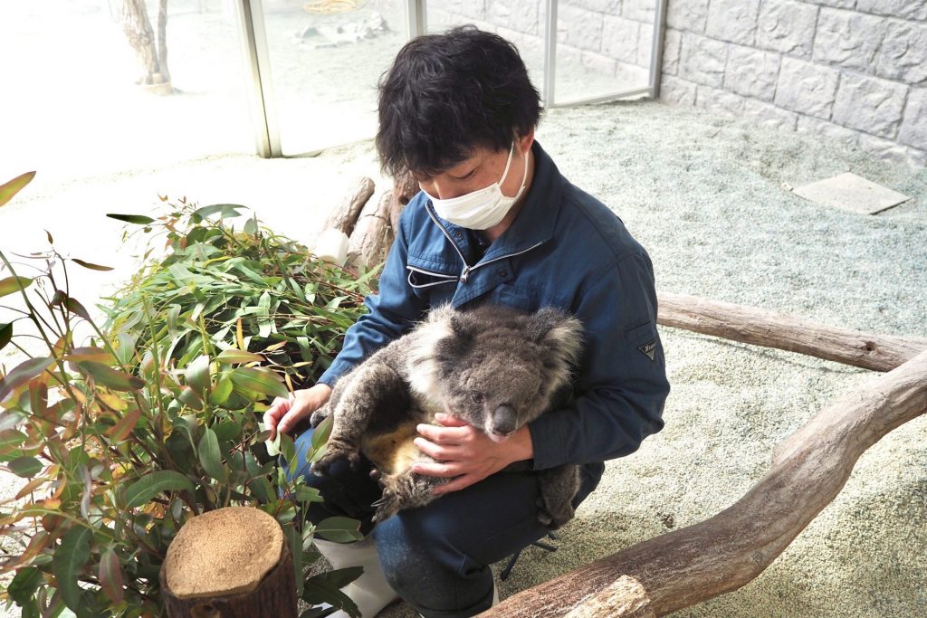 獣医・飼育員・トリマーなど、“動物に関わる仕事”をするには？ 子ども