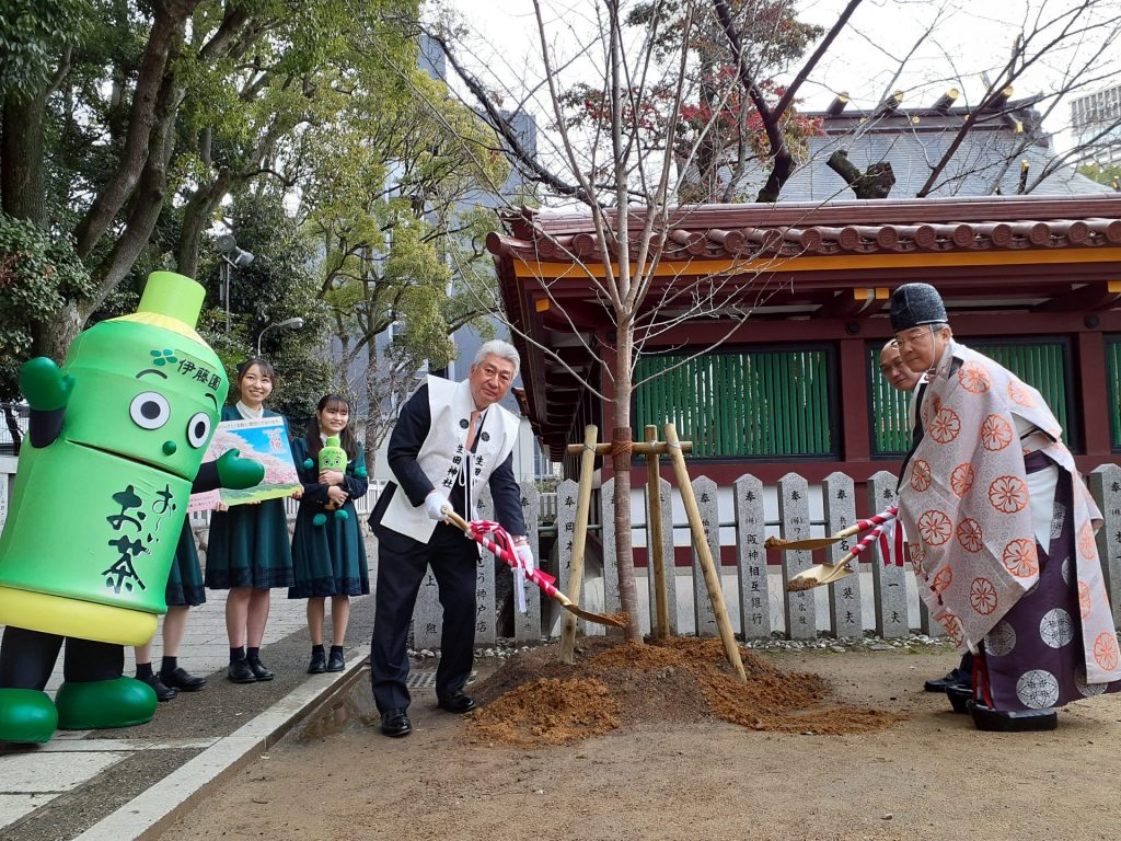 植樹の様子