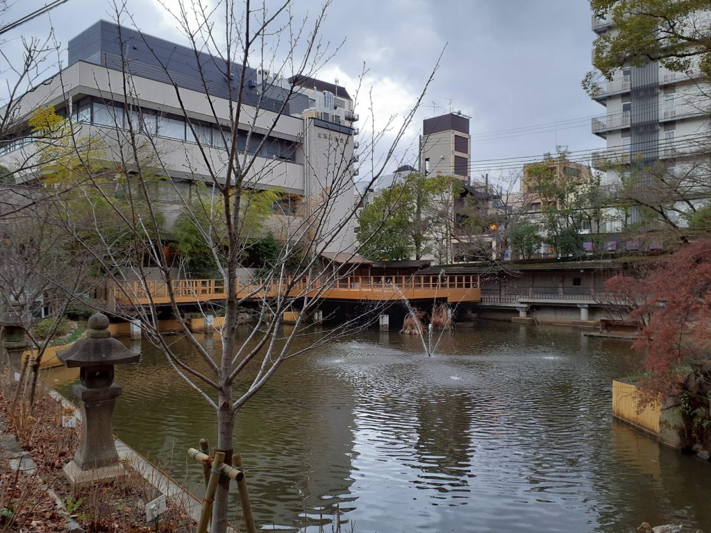 手前：植樹されたソメイヨシノ　と　生田の池