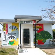 神戸市によるSDGsの取り組み　長田区「外来生物展示センター」本格オープン