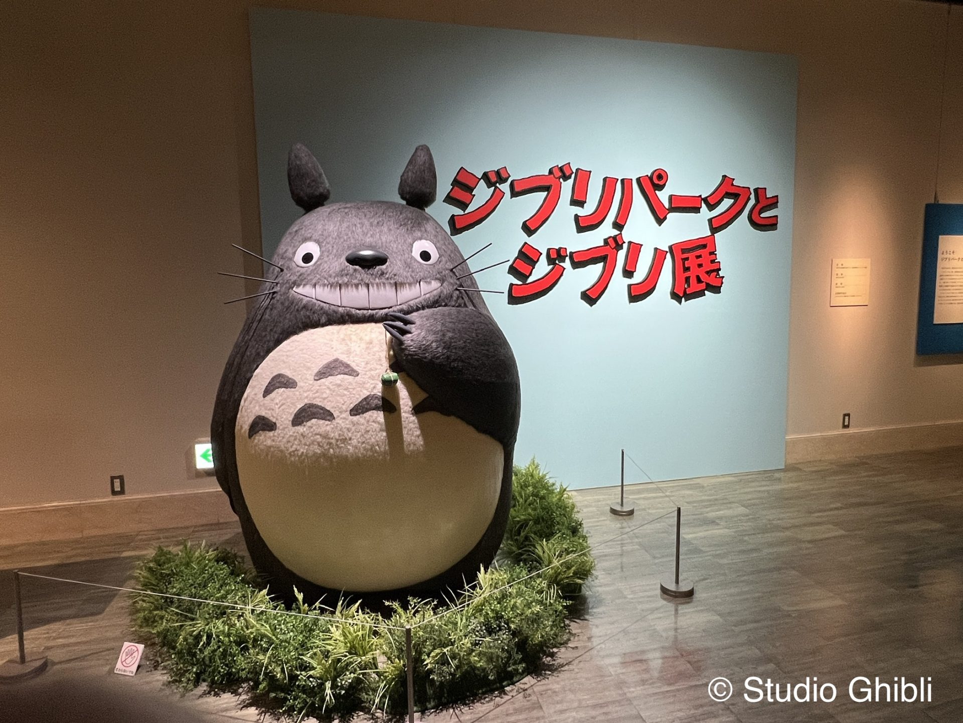 関西初開催！ 神戸で特別展「ジブリパークとジブリ展」 トトロ