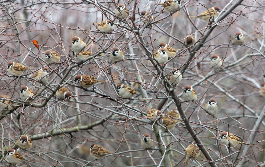 ※画像はイメージです　(C)123RF.COM